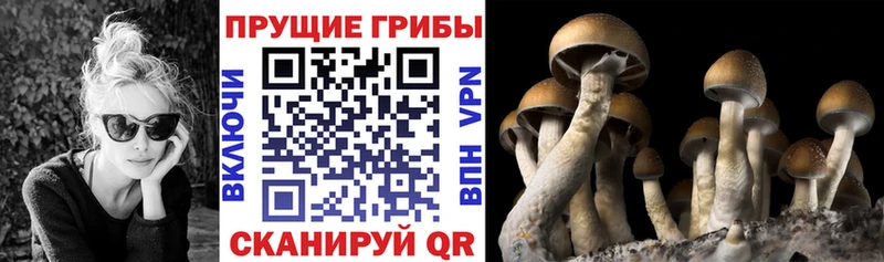 Псилоцибиновые грибы ЛСД Ясногорск