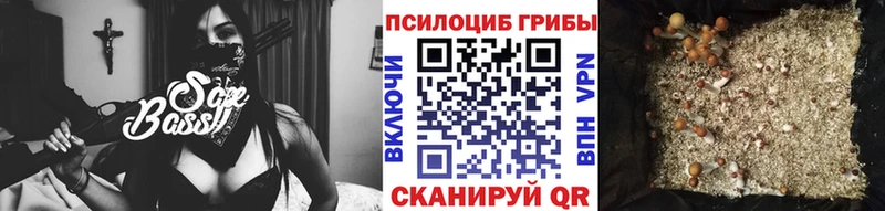 даркнет сайт  Ясногорск  Галлюциногенные грибы прущие грибы 
